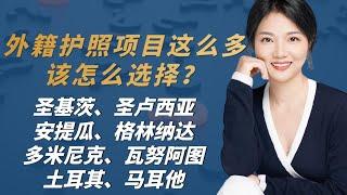 法案成熟靠谱的八个外籍护照项目，该如何选择呢？#圣基茨护照 #圣卢西亚护照 #安提瓜护照#格林纳达护照#多米尼克护照#瓦努阿图护照#土耳其护照#马耳他护照#加勒比护照