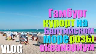 VLOG. Балтийское море. 1,5 часа от Гамбурга! Курорт Timmendorfer Strand. Океанариум.