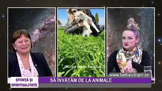SA INVATAM DE LA ANIMALE - Grig Oprea si Amalia Bellantoni - 18.03.2024