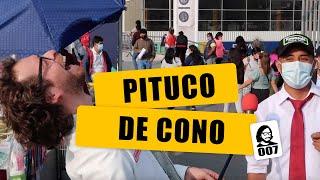 ¿Qué es un pituco de cono? | Henry Spencer