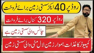 روڈ کے اوپر سستی زمین Agriculture land for sale | 0300 3966032 | cheapland for sale| zameen for sale