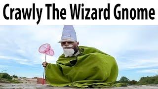 Crawly The Wizard Gnome
