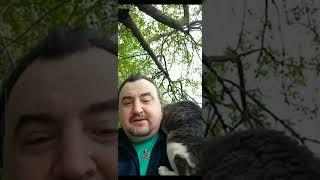Хрустальный замок в изразцах.Вячеслав Котляров. #хрустальный_замок