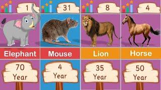 Animal Lifespan | Shortest and Longest Life Spain of Animals | Lifespan of Animals Comparison