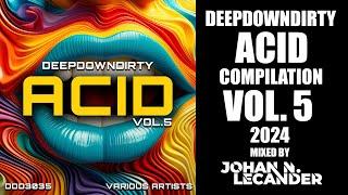 DeepDownDirty Acid Compilation Vol. 5 (2024) mixed by Johan N. Lecander [Acid Techno/House]