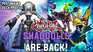 THE BEST ROGUE FUSION DECK OF THE FORMAT | Yu-Gi-Oh! Shaddoll Branded Dogmatika Deck Profile