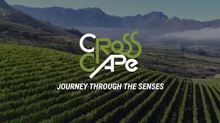 Cross Cape Cycle Route: A Journey Through The Senses