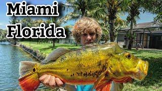 Canal FISHING For HUGE Peacock Bass!!! (Miami,Florida)