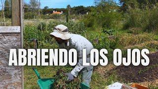 Abriendo los ojos | Alianzas, compost, lanza de riego, tomateras y ritmo