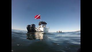 Dive Guy Charters a San Diego Dive Boat