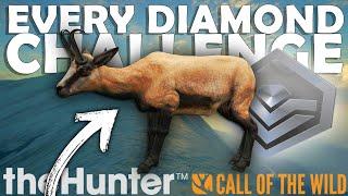 One of the HARDEST DIAMONDS in the GAME is MINE!!! - COTW Every Diamond Challenge Ep. 12