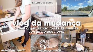 VLOG DA MUDANÇA | 3 DIAS DE MUITA ORGANIZAÇÃO! Morando sozinha, novo apartamento…