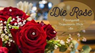 The Rose  - Die Rose - Männerquartett (+1)