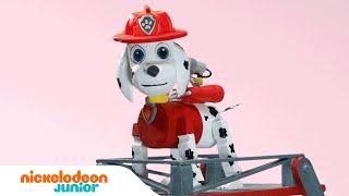 Paw Patrol Surprise Crafts | Stay Home #WithMe| Nick Jr. | Video