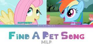 MLP ~Find A Pet Song~ {Color Coded Lyrics}