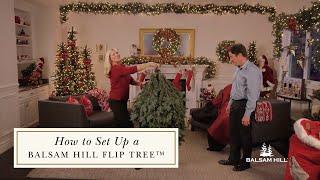 How to Set Up a Balsam Hill Flip Tree™