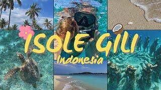ISOLE GILI A CONFRONTO  | Indonesia #10