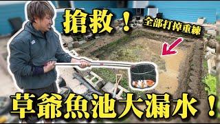 【緊急搶救！草爺魚池大漏水！】全部打掉重練大工程！