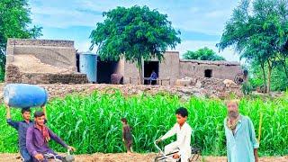 Traditional Village life in Pakistan || Mud House || Village Vlog || Charming Pakistan