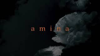 Marek Hemmann - Amina