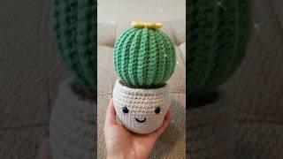 Cutie Cactus