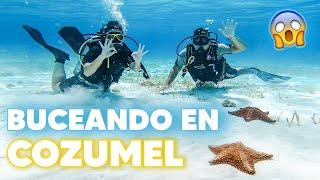  BUCEO en el MAR de COZUMEL  Sin CERTIFICACIÓN  ¿Cuánto cuesta el buceo en Cozumel? | CANCÚN 