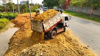 Astounding Ultimate Project Landfill Border Pound !! Bulldozer D31 & Dump Truck Unload Water Flood