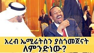 አረብ ኤሚሬትስን ያስጎመጀናት ለምንድነው?