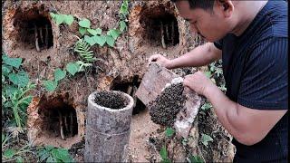 Full: Build a cave house for lovely honey bees | Tropical Forest Bees #bees  #honey