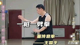 董传意拳一桩一劈拳 贵在有恒(230517）王国平老师传授李桂昌武学传人练拳找劲董传意拳一桩一劈拳软劈拳摸劲形意五行劈拳桩董传意拳王家社传习点