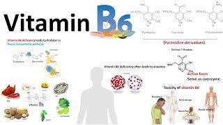 Vitamin B6 : structure,source and deficiency associated diseases