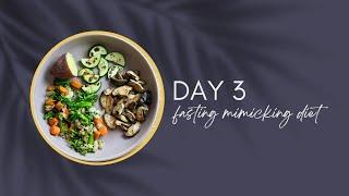 DAY 3 | Fasting Mimicking Diet DIY