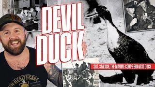 When Marines Took A Duck Into Battle In WW2 - The Devil Duck