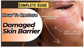 How To Repair Damaged Skin BarrierComplete Guide