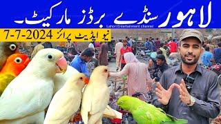 Lahore Sunday Birds Market New Update Price | 7-7-2024 || #lahorientertainmentchannel