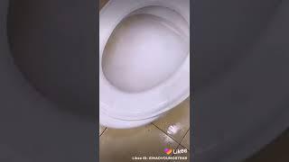 How to clean a very dirty toilet