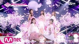 [ENG sub] PRODUCE48 [단독/10회] 다시 만나ㅣ′대휘 선배님의 선물′ 약속 @콘셉트 평가 180817 EP.10