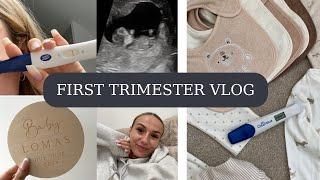 First Trimester Pregnancy Vlog | 3-12 Weeks | UK First Time Mum | Scans, Anxiety & Symptoms