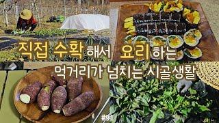 sub)making Korean dishes using vegetables in the country garden. kimbab, fish cake soup, soy milk