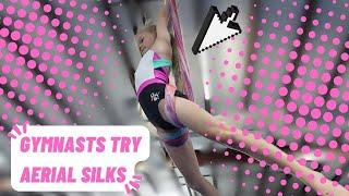 Little Gymnasts Try AERIAL SILKS!| Rachel Marie