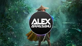 Avicii - Fade Into Darkness (Alex Arpasanu Remix)