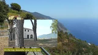 "Dolce Vita" a RIOMAGGIORE - CINQUE TERRE - 2017