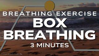 Box Breathing for Stress Relief (4-4-4-4)