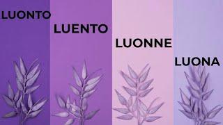 ФИНСКИЕ СЛОВА LUONTO, LUENTO, LUONNE, LUONA