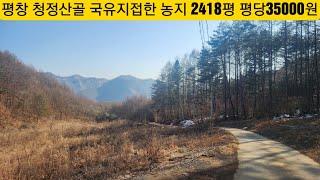 현장매물 브리핑 | 0228-평창토지 | 방림시내 4분 청청산골 넓고 저렴한 농지 2418평 8500만원 (방림공인 010-3733-2002)