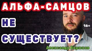 Альфа-самцов не существует? Миф об отморозках-альфачах, первобытных вождях и любимцах женщин