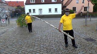 Maibaum-Tradition in Corona-Zeiten - Akteure halten am Brauchtum fest