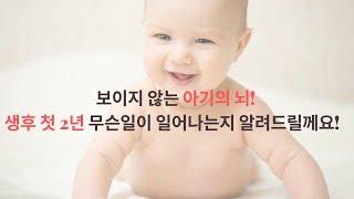 [언어치료사 홍선생님 1편] 책육아와 뇌발달, 언어발달, 얼마나 관계가 있을까? | Baby Brain Development and Reading Books