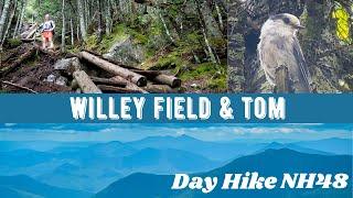 Hiking the 48 NH 4000 Footers - Willey Field Tom