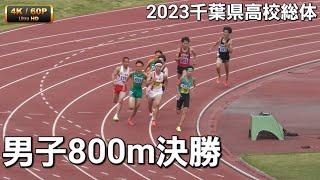 男子800m決勝　2023千葉県高校総体